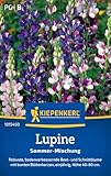 Kiepenkerl Lupinensamen Sommer Mischung 1015450 –Blumensamenmischung für eine...