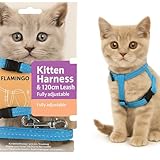 Flamingo Katzengeschirr mit Leine Elza – Blau – Für Kätzchen | Sicher,...