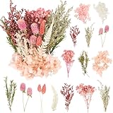 LAUMOE Getrocknete Blumen,Trockenblumen Zum Basteln Mini Trockenblumen Set für...