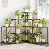 Bamworld Pflanzenständer Indoor Outdoor Ecke Pflanzenregal 5 Etagen 11...