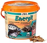 JBL Energil Hauptfutter für Sumpf- und Wasserschildkröten, 1er Pack (1 x 2,5...
