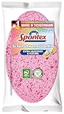 Spontex Tuchschwamm ColorMix, - Extra saugstark & reißfest -3 Stück ( 1er...