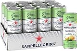 San Pellegrino Creazioni Citrus & Darjeeling Tee Kalorienarme Limonade 36...