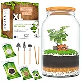 PYEF CRAFTS Flaschengarten Komplettset XL für Ökosystem im Glas - 4L Terrarium...