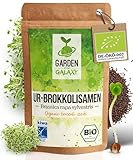 Brokkoli Samen Bio [500 Gr] - Brokkolisamen mit hohem Sulforaphan Gehalt dank...