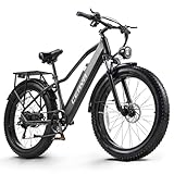 CEAYA Elektrofahrrad,E-Bike für Herren und Damen,26''E-Mountainbike,48V20AH E...