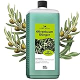 Olivenbaum Dünger - Olivenbaumdünger - Langzeitdünger für mehr Oliven und...