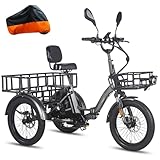 Fafrees 2025 F20 Mate E-Bike Dreirad für Erwachsene 20 Zoll 48V 23,45Ah Akku [...