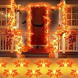FFZZKJ Herbst Lichterkette 3M 20 LED Halloween Lichterkette Batterie mit Timer...