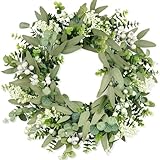 COLORSPEC Eukalyptus-Kranz für die Haustür, 46 cm/18 Zoll grüner...