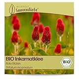 Samenliebe BIO Inkarnatklee Samen Rote Blüten Gründünger Bienenweide rot 1000...