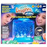 Aqua Dragons |Unterwasserwelt Deluxe mit LED | Pädagogisches STEM-Spielzeug,...