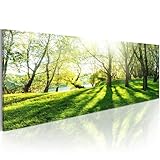 B&D XXL Acrylglasbild Landschaft 135x45 cm 1 Teilig Wandbild auf Acryl...