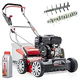 HECHT 2-IN-1 Benzin Vertikutierer mit Briggs & Stratton Motor – 4,2 kW/5,7PS...