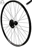 Redondo 28 Zoll Hinterrad Laufrad Felge Schwarz Disc + 8-Fach Kassette