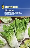 Gemüsesamen - Zichorie - Zuckerhut von Kiepenkerl [MHD 01/2019]