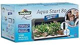 Dehner Aqua Aquarium Starterset 80, ca. 81 x 36 x 45 cm, inkl. Futter und...