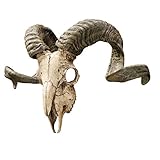 Design Toscano Wandtrophäe Korsischer Widder Schädel und Hörner, Maße: 47 x...