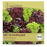 Samenliebe BIO Schnittsalat Samen Bunte Mischung Kopfsalat großer Salat bunt...