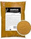 Minotaur Spices | Curry gemahlen, Currypulver mild, 2 x 500g (1 Kg)