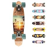 meteor Holz Skateboard Kinder - Mini Cruiser Kickboard - Skateboard mädchen...