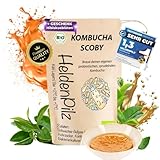 HeldenPilz® Bio Kombucha Teepilz – Vitaler, Wachstumsstarker Scoby mit...
