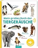 Mein großes Buch der Tiergeräusche: Mit 50 Sounds | Hochwertiges Soundbuch mit...