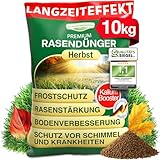 DÜNGEMEISTER Herbst Rasendünger – mit Langzeitwirkung und KaliumschutzPlus...