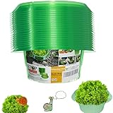 VDYXEW Schnecken-Schutz | Schneckenkragen für Ihre Salatpflanzen und Kohl |...