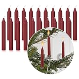 Nordstern Baumkerzen Dunkelrot 20er Pack - Kerzen für den Weihnachtsbaum, oder...