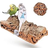 Vogelgaleria® Premium Korksitzbrett für Vögel wie Wellensittich...