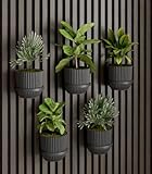 Vleugel Akustikpaneel 2X Kleiner Ring + 2X Kleiner Topf