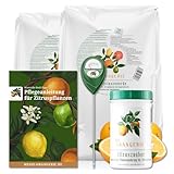 Meine Orangerie Zitrus-Pflegepaket Mezzo: Beste Zitruserde + starker...