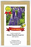 Wilde Lupine - Stauden-Lupine - ausdauernd - Bienenweide - Bauerngarten - 300...