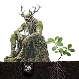 CHSEROK Garten Stecker Draußen Deko, 28 × 18 cm Lustige Gartenfiguren,...