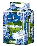 Floragard Endless Summer Hortensienerde blau 20 L • zum Pflanzen und Umtopfen...