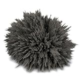 magnets4you Eisenpulver 100g | Eisenspäne für magnetische Experimente,...