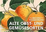 Postkarten-Set Alte Obst- und Gemüsesorten: 18 Kunstpostkarten aus hochwertigem...