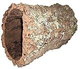 Korkröhre 1 Stück ca.35-40 cm/Außendurchmesser ca. 18-22 cm Naturkork Höhle,...