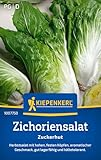 Kiepenkerl Zichoriensalatsamen Zuckerhut 1007750 - Salatsamen für einen...