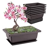Forhandy 6 Stück Bonsai Schale, Wiederverwendbar Bonsai Topf mit Tabletts,...