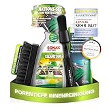 SONAX CleanStar (750ml) Innenraumreiniger Auto + Bürste + chemicalworkz Pinsel...