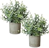 Roqueen 2 Stücke Klein Künstliche Pflanzen Eukalyptus im Tofp, Mini...
