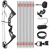 Jagdbereites Compoundbogen-Paket für Erwachsene, Zuggewicht 20–70 Pfund,...