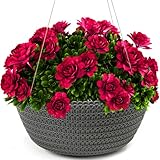 KONZEPT Blumenampel Hängend für Innen und Außen, Durchmesser: 30 cm,...