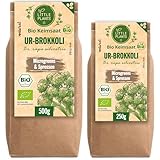 Little Plants Bio UR-Brokkoli Sprossen Samen [250g] - UR-Brokkoli-Samen mit...