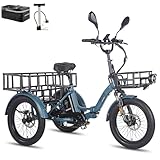 Fafrees F20 Mate Fat Klapprad E-Bike Lastenfahrrad 48V [ Offiziell ] Ebike 20...