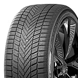 Berlin Tires All Season 2 205/55 R16 91V - C/C/71dB Ganzjahresreifen (PKW)