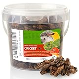 UGF - Getrocknete Grille 500ml Eimer (80g), Grillen Insekten, Vogelfutter...