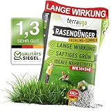 TerraUno Rasendünger Frühjahr/Sommer I Sofortwirkung für saftiges grün I 20...
